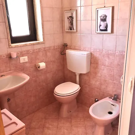 Conte * Sannicandro di Bari