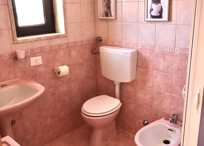 Conte * Sannicandro di Bari